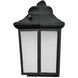 Patriot LED 12.25 inch Black Outdoor Wall Lantern